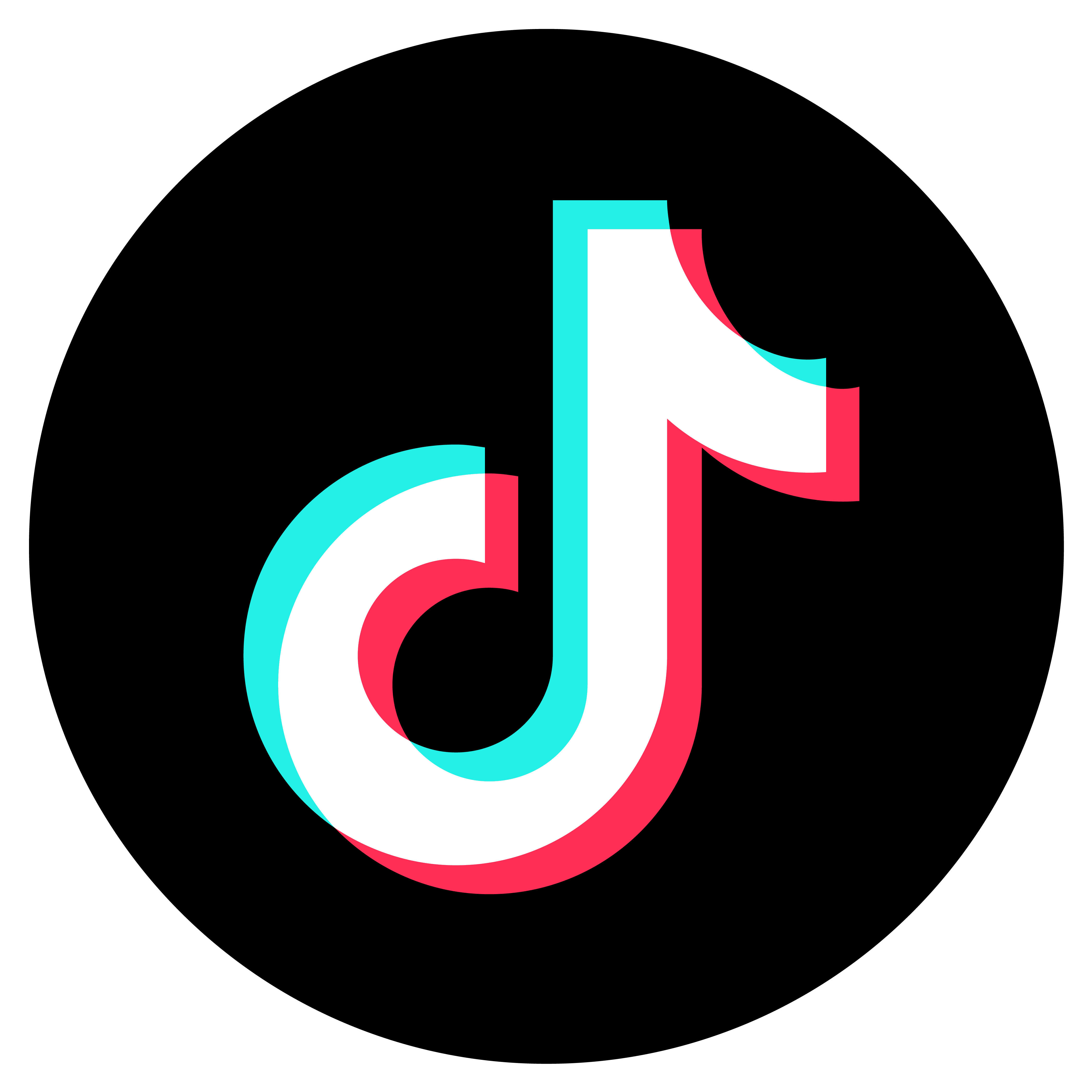TikTok Logo